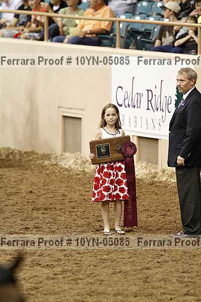 Proof Number 10yn-05085
