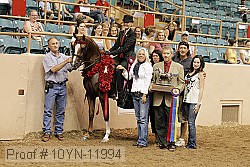 10yn-11994 thumbnail