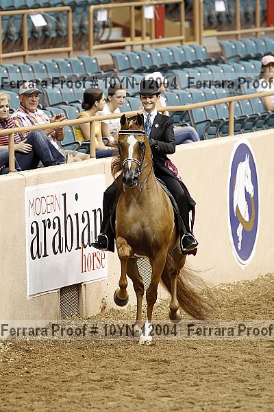 Proof Number 10yn-12004