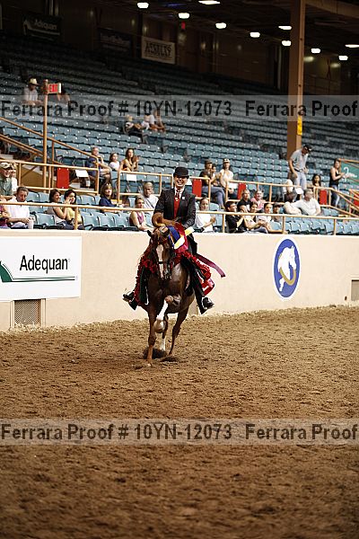 Proof Number 10yn-12073