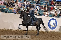 10yn-09097 thumbnail