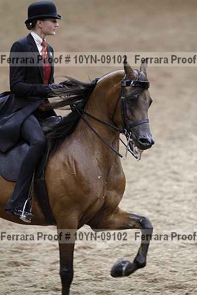 Proof Number 10yn-09102