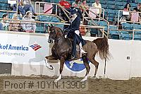 10yn-13908 thumbnail