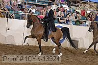 10yn-13924 thumbnail