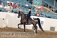 10yn-02765 thumbnail