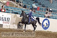 10yn-02767 thumbnail