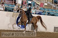 10yn-18049 thumbnail