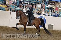10yn-18065 thumbnail