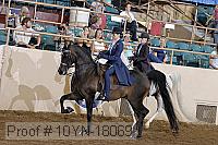 10yn-18069 thumbnail