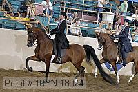 10yn-18074 thumbnail