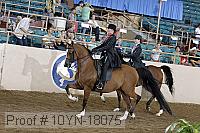 10yn-18075 thumbnail