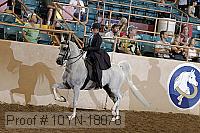 10yn-18078 thumbnail