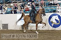 10yn-18098 thumbnail