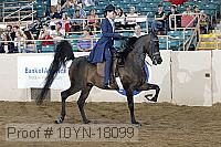 10yn-18099 thumbnail
