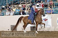 10yn-18105 thumbnail