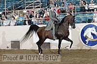 10yn-18107 thumbnail