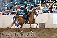 10yn-18108 thumbnail