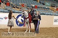 10yn-18157 thumbnail