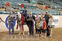 10yn-18166 thumbnail