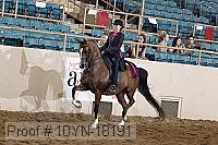 10yn-18191 thumbnail
