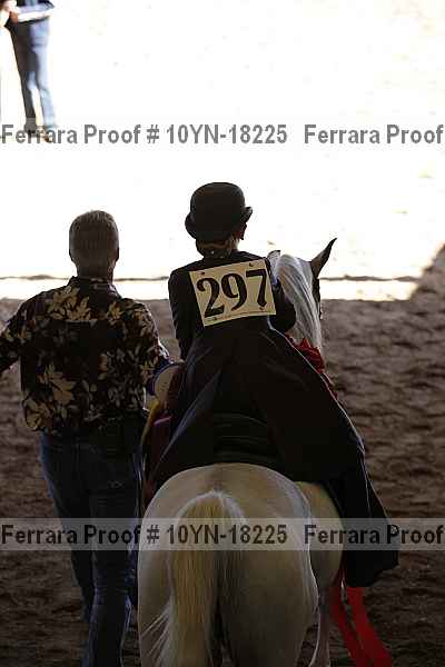 Proof Number 10yn-18225