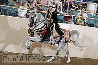 10yn-21627 thumbnail