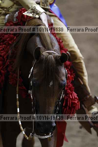 Proof Number 10yn-19139