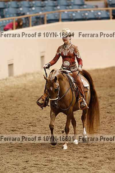 Proof Number 10yn-16601