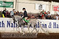 10yn-08601 thumbnail