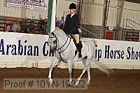 10yn-19222 thumbnail