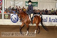 10yn-19225 thumbnail