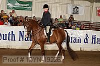 10yn-19226 thumbnail