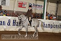 10yn-19229 thumbnail
