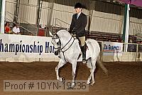 10yn-19236 thumbnail