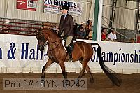 10yn-19242 thumbnail