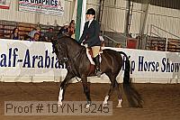 10yn-19245 thumbnail