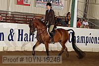 10yn-19248 thumbnail