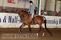10yn-19250 thumbnail