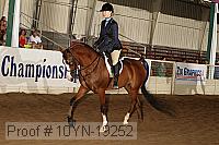 10yn-19252 thumbnail