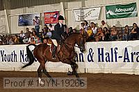 10yn-19266 thumbnail