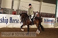 10yn-19310 thumbnail