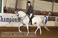 10yn-19312 thumbnail