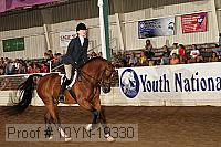 10yn-19330 thumbnail