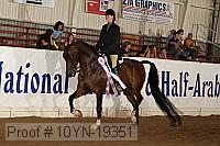 10yn-19351 thumbnail