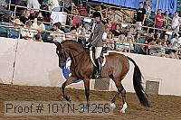 10yn-31256 thumbnail
