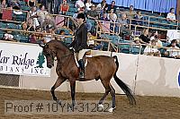 10yn-31262 thumbnail