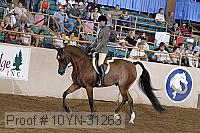 10yn-31263 thumbnail