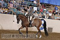 10yn-31275 thumbnail