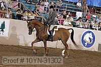 10yn-31302 thumbnail