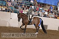 10yn-31309 thumbnail
